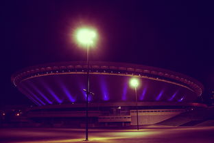 爱游戏体育app网页版下载-AG超玩会再度捧杯创纪录，ag超玩会的成绩